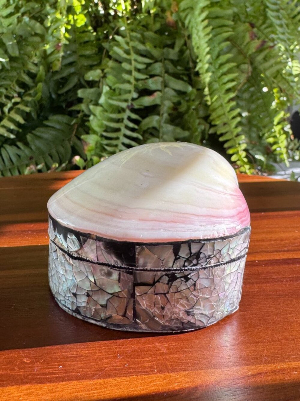 Abalone Shell Trinket Box – Iridescent Mosaic Jewellery Holder